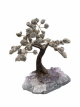 BRA25 Levensboom Pyriet – ca. 20 cm