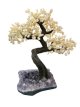 BRA26 Citrine Tree of Life 50/60cm