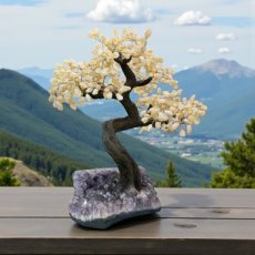 BRA26 Citrine Tree of Life 50/60cm