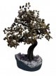 BRA26 Levensboom met Tijgeroog 50/60cm