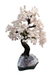 BRA26 Levensboom Rozenkwarts – ca. 55 cm