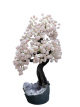 BRA26 Levensboom Rozenkwarts – ca. 55 cm