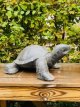 Schildpad 60cm