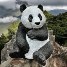 Panda Zittend
