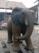 elephant 100cm