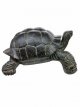 Turtle 60cm