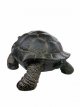 CAN60 Schildpad 60cm