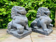 COT01-40 Fu dogs - Tempel leeuwen 40cm