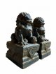 COT01-40GRC Fu dogs - Tempel leeuwen 40cm