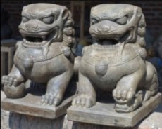 COT01-60 Fu dogs - Tempel leeuwen 60cm