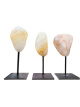 EDEVOGOL Golden healer op voet – ca. 9–10 cm