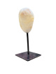 EDEVOGOL Golden healer op voet – ca. 9–10 cm