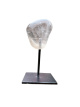 EDEVOROO Rookkwarts op voet – ca. 9–10 cm