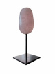 EDEVOROZ Rozenkwarts op voet – ca. 9–10 cm