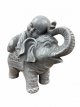 Elephant with Monk