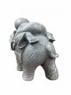 Elephant with Monk