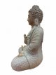 FON54 Zittende Onderwijzende Boeddha