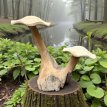 HJA07 Teak Vrije-Vorm Blok met Twee Paddenstoelen 35cm
