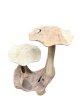 HJA08 Teak Free-Form Block with Two Mushrooms 48cm