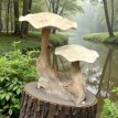 HJA08 Teak Free-Form Block with Two Mushrooms 48cm