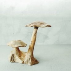 HJA08 Teak Vrije-Vorm Blok met Twee Paddenstoelen 48cm