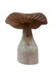 HJA18 Driftwood Paddenstoel  20cm