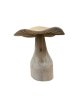 HJA18 Driftwood Paddenstoel  20cm