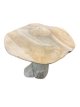 HJA19 Driftwood Paddenstoel  30cm