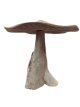 HJA20 Champignon en Bois Flotté  40cm