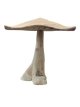 HJA21 Driftwood Paddenstoel  50cm