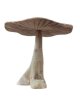 HJA21 Driftwood Paddenstoel  50cm