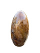 K526 Golden healer vrije vorm – 9,5 cm