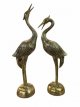 set van twee kraanvogels