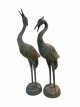 KR200 set van twee kraanvogels