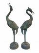 KR200 set van twee kraanvogels