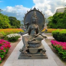 KR209 Durga 8 armig