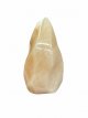 KR262 Calciet  14cm