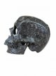 KR271 Kristallen Schedel -Fossiel steen hol jawless - 16 x 13.5 x 19.5 cm