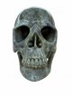 KR275 Kristallen Schedel - Labradoriet - 16 x 13.5 x 19 cm