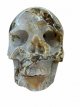KR284 Kristallen Schedel - Mosagaat - 14 x 11.5 x 17 cm