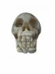 KR301 Kristallen Schedel - Jaspis - 6 x 4.5 x 7.5 cm
