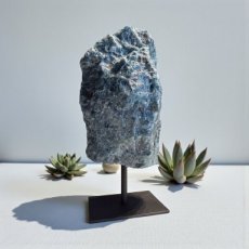 KR62 Apatite sur pied