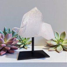 KR66 Cristal de Roche sur pied