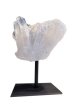 KR67 Clear Quartz on base