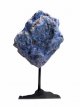 KR72 Sodalite sur pied