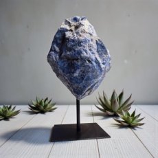 KR72 Sodalite sur pied