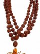 Mala Rudraksha