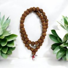 MAL29 Mala Rudraksha
