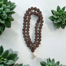 MAL30 Mala Rudraksha