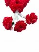 Bloemenkrans 25cm